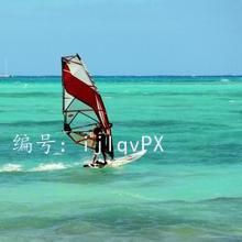 ζ